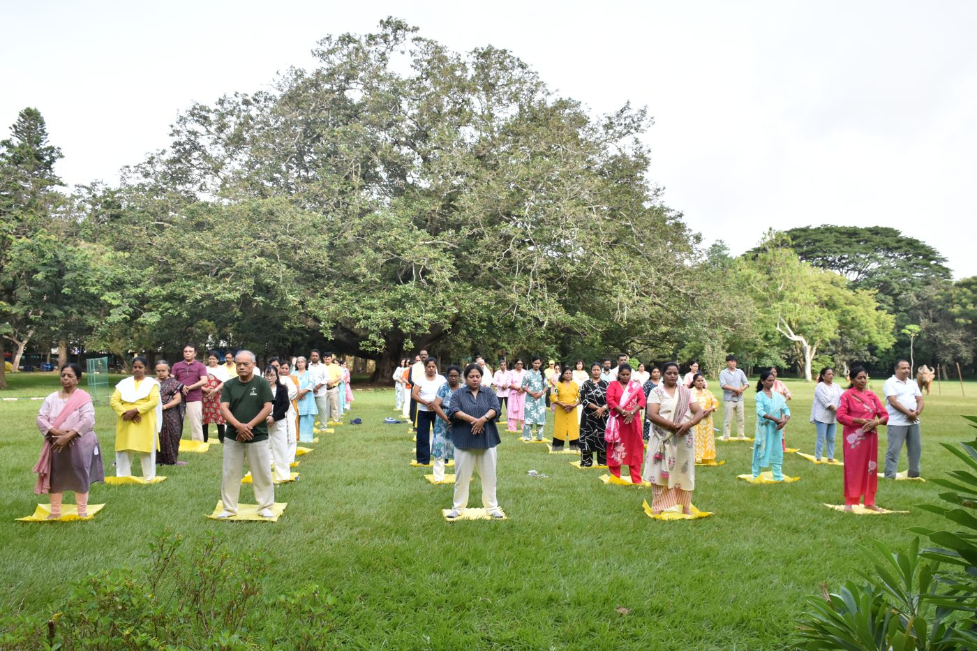 Falun Dafa practitioners doing standing exercises together in an Indian park