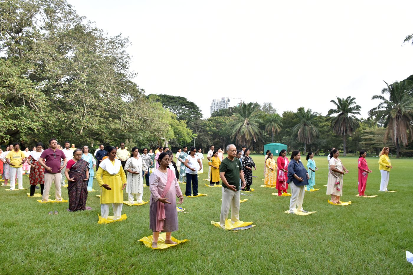 Group practice session on a lawn in India, practitioners standing in rows